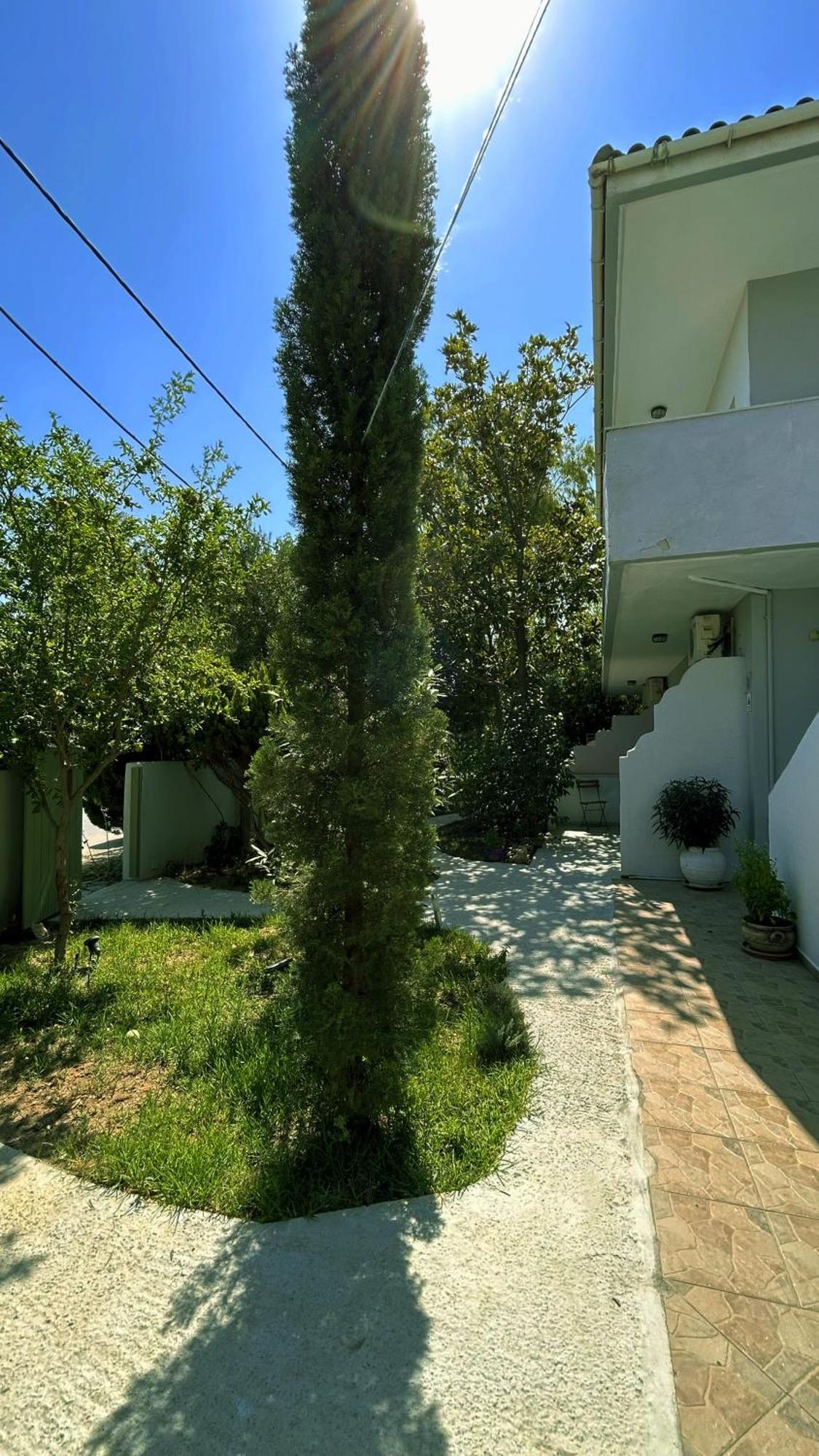 Anthonas House Apartment Nikiti  Ngoại thất bức ảnh